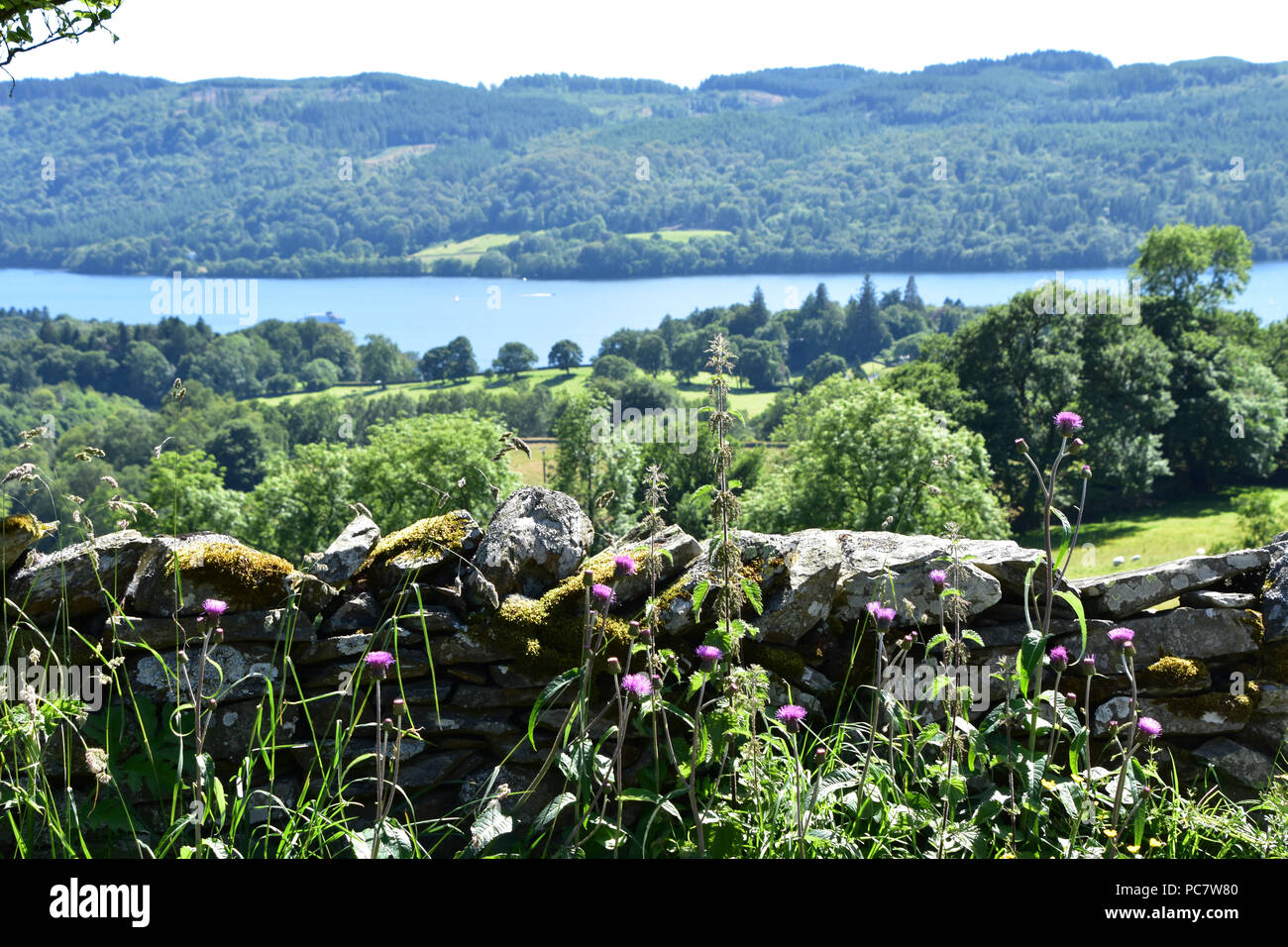 Auf dem Land, in den Lake District, England. Juni, 2018 Stockfoto