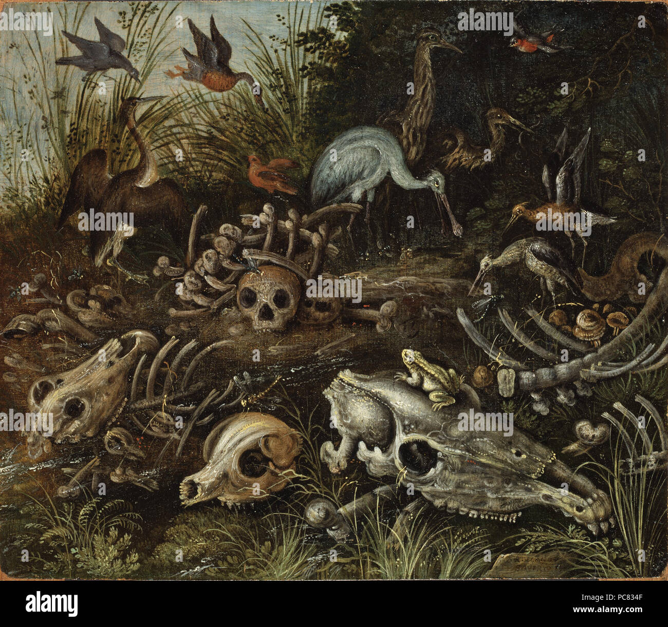 62 Memento mori (Roelant Savery) - Nationalmuseum - 29167 Stockfoto