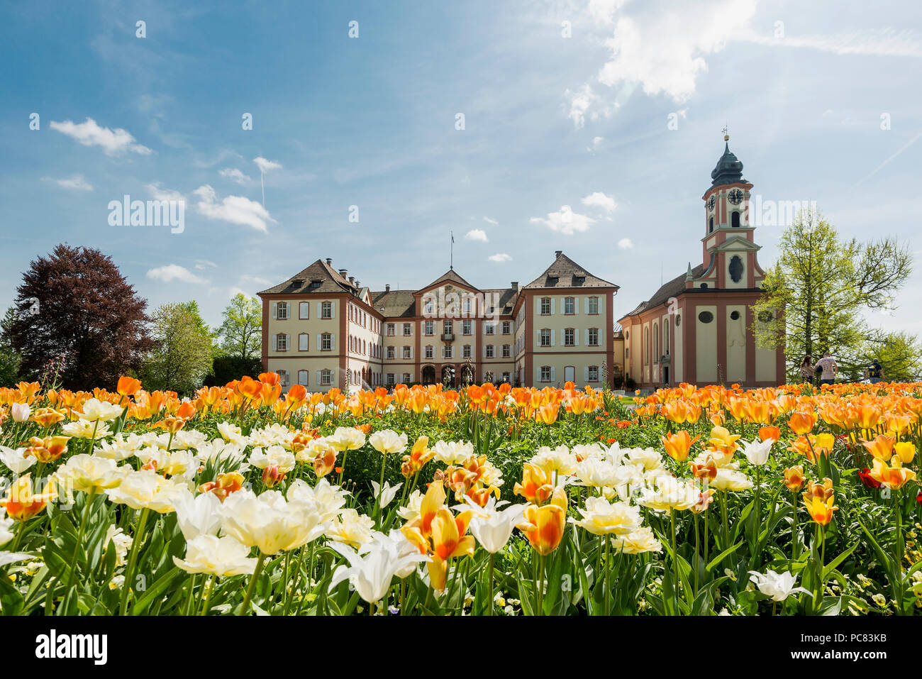 Mainau Schloss und Schlosskirche, und blühenden Tulpen, Insel Mainau, Bodensee, Baden-Württemberg, Deutschland Stockfoto