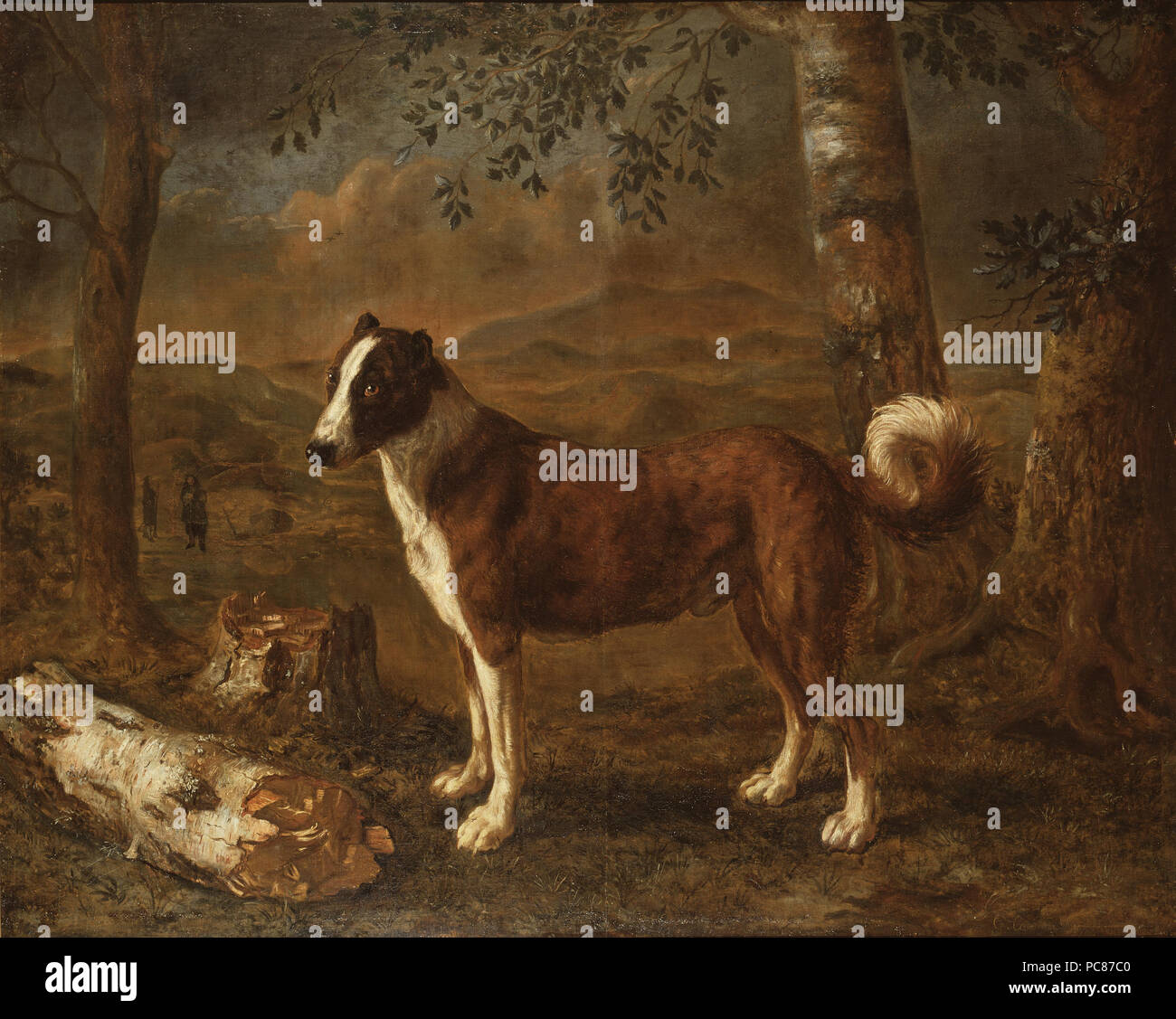 23 Hund und eine Birke Log (Thomas Niemann Dircksz. Camphuysen) - Nationalmuseum - 15878 Stockfoto