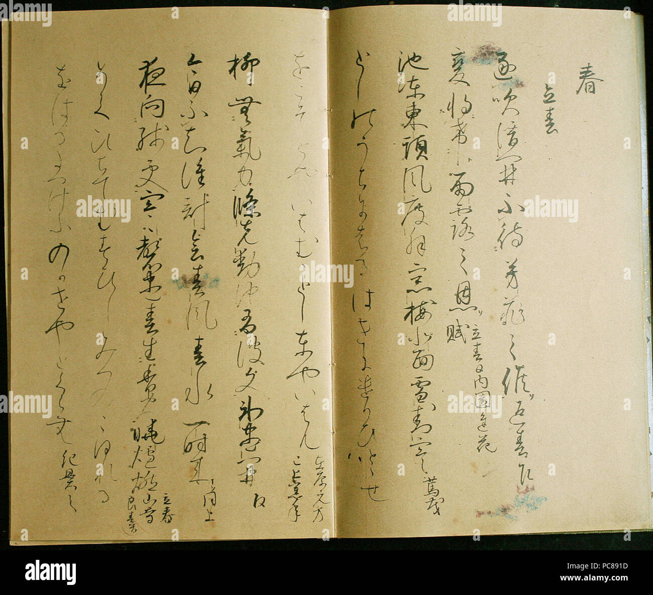 303 IYO GIRE Wakan roeishu 2 Stockfoto