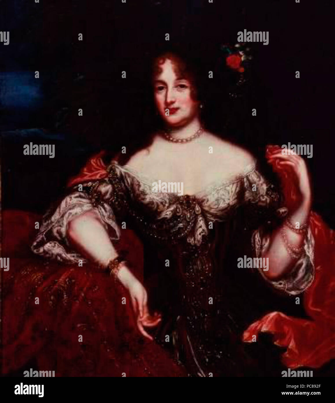 212428 488 Platte Stockfoto