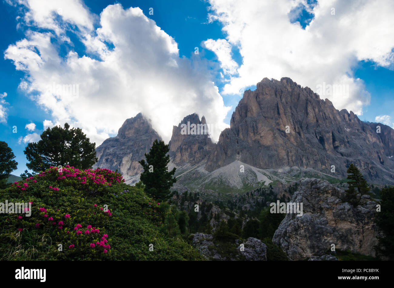 Langkofel und Plattkofel Berge, Italien. Foto von einem Wanderweg in Dolomiten, Dolomiti, Sella Alto Adige, Südtirol Stockfoto
