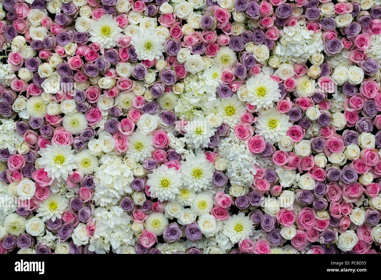 Floral Display Wall Tatton Park an der RHS Flower Show 2018, Cheshire, Großbritannien Stockfoto