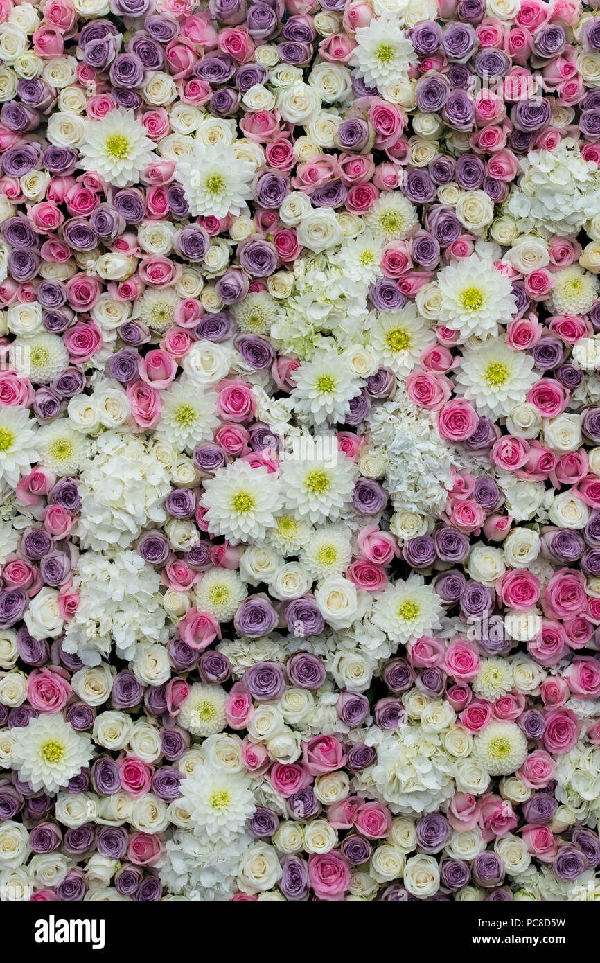 Floral Display Wall Tatton Park an der RHS Flower Show 2018, Cheshire, Großbritannien Stockfoto