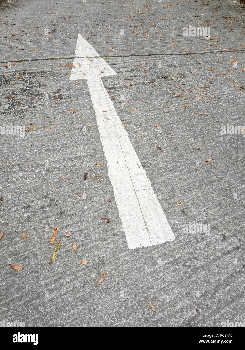 Lackierter weißer Richtungspfeil auf dem Parkplatz. Klare Richtung, klare Richtung. Stockfoto
