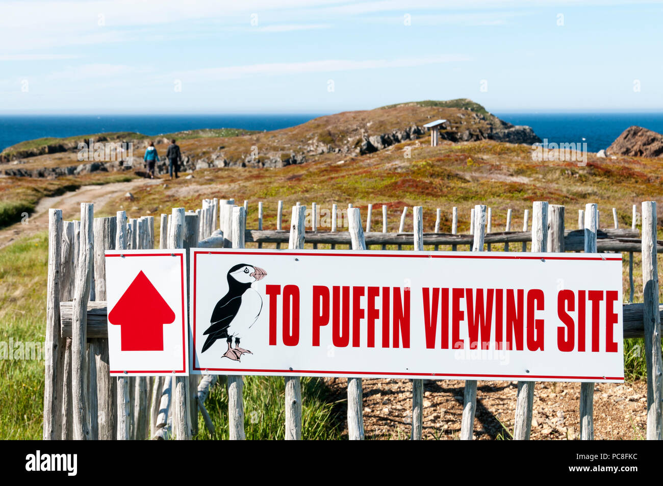 Ein Zeichen für die Papageientaucher anzeigen site an Elliston auf die Bonavista Peninsula in Neufundland. Stockfoto