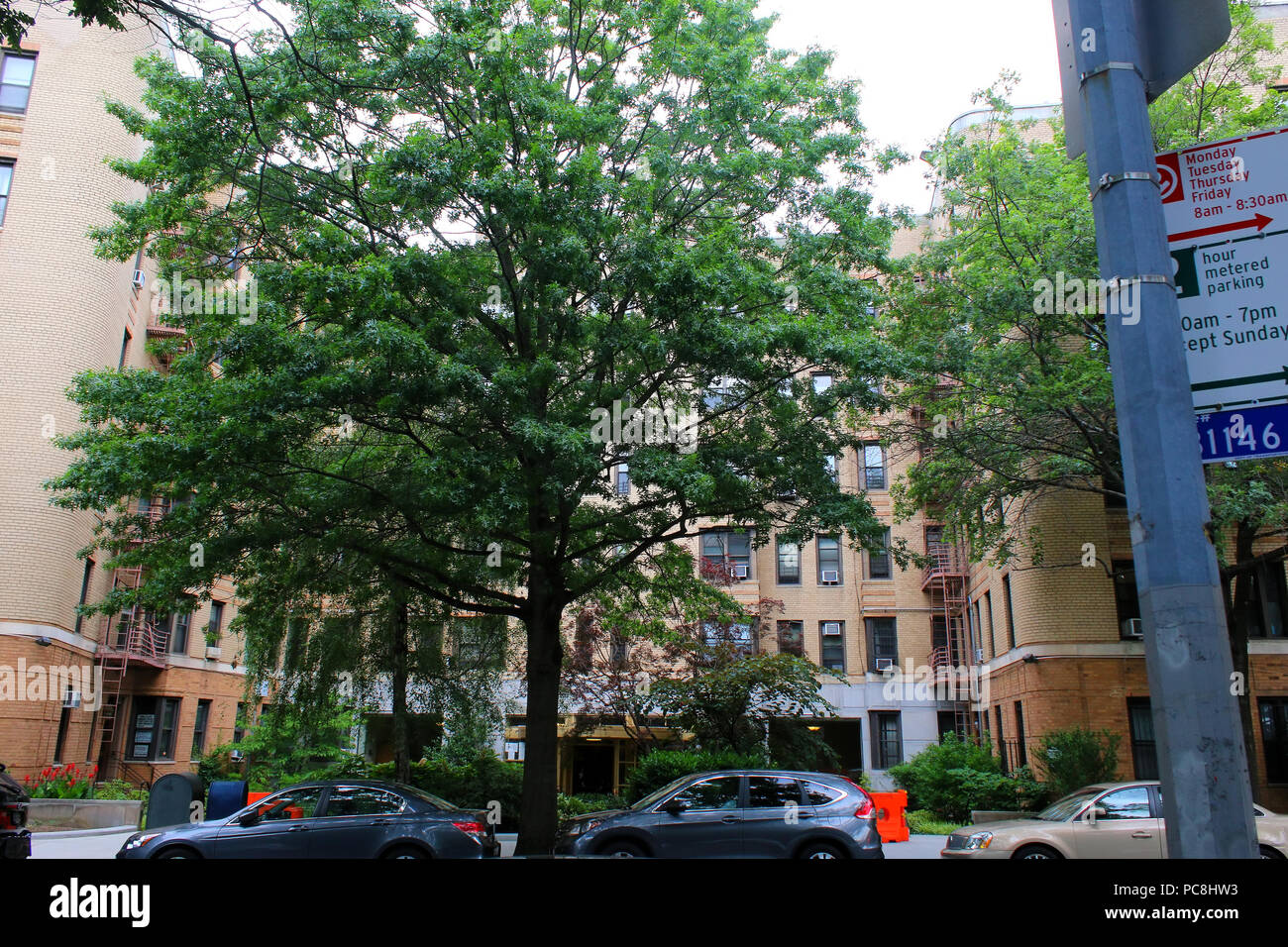 NEW YORK, NY - 10. Juli: Art-deco-vorkriegszeit Wohnhaus bei 20 Plaza Street East in Prospect Heights, Brooklyn am 10. Juni 2017 in New York, USA Stockfoto
