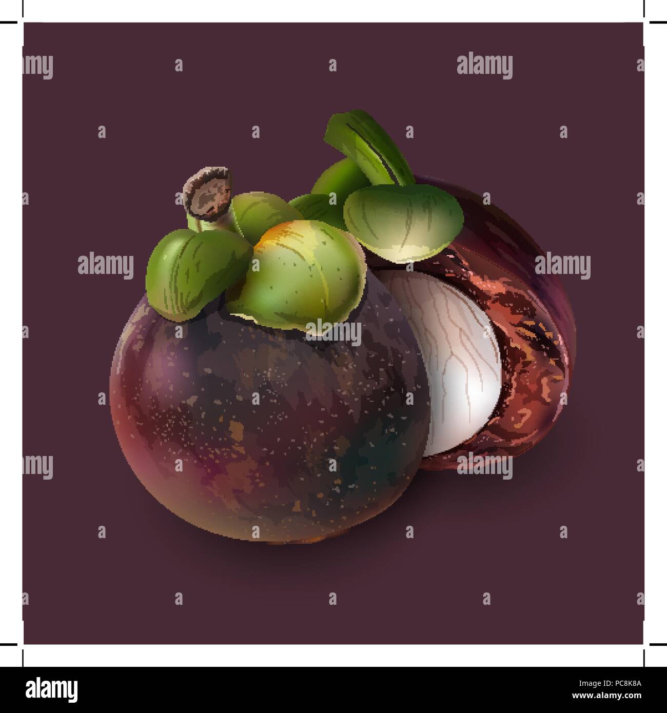 Mangosteen auf dunklem Lila Stock Vektor