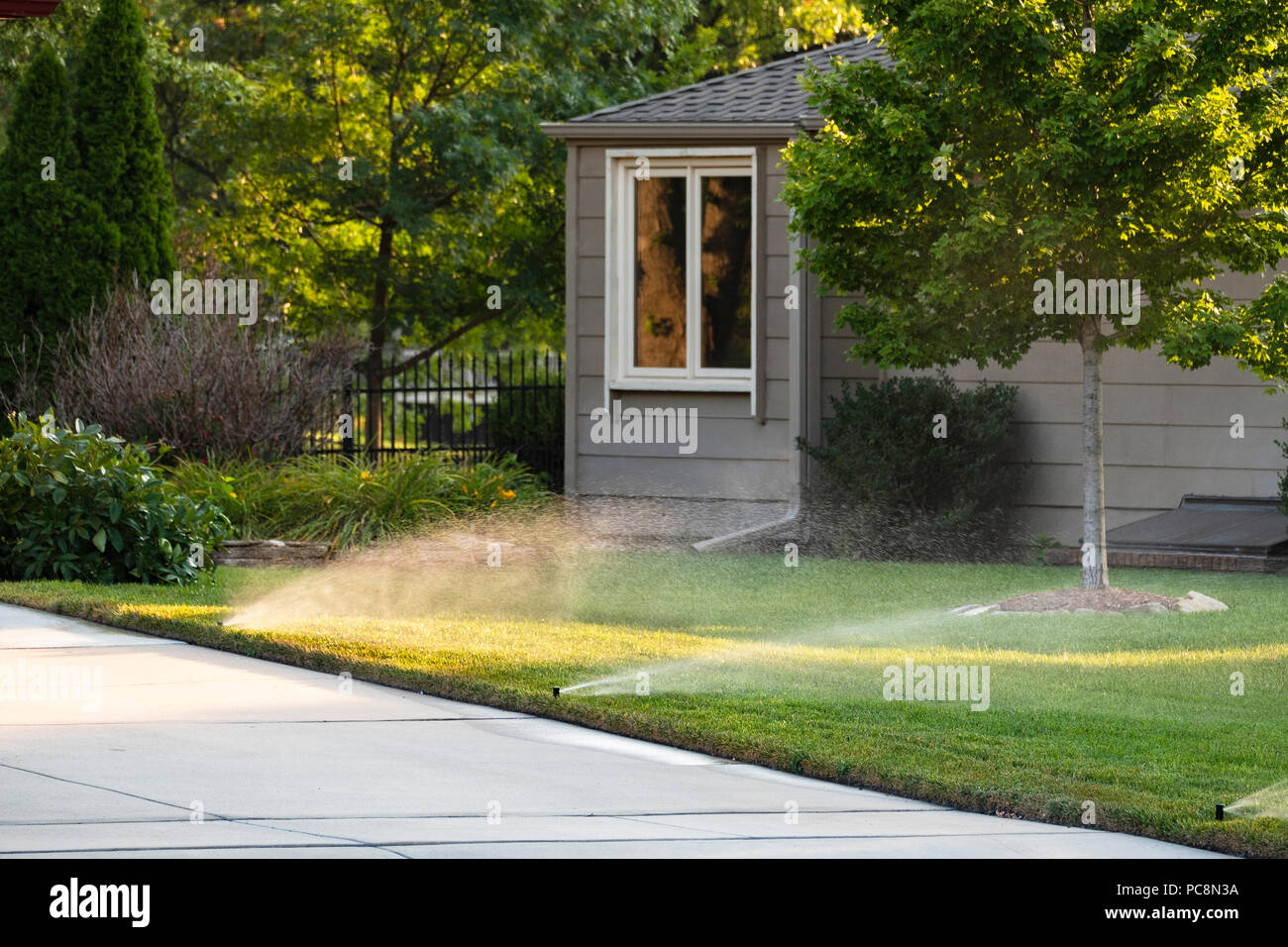 Eine im Boden Sprinkleranlage Bewässerung rasen. USA. Stockfoto