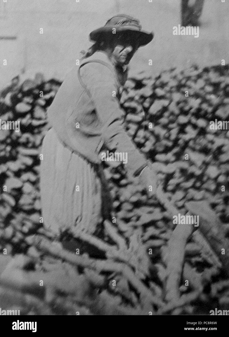 2 717 Homme de Plogonnec Stockfoto