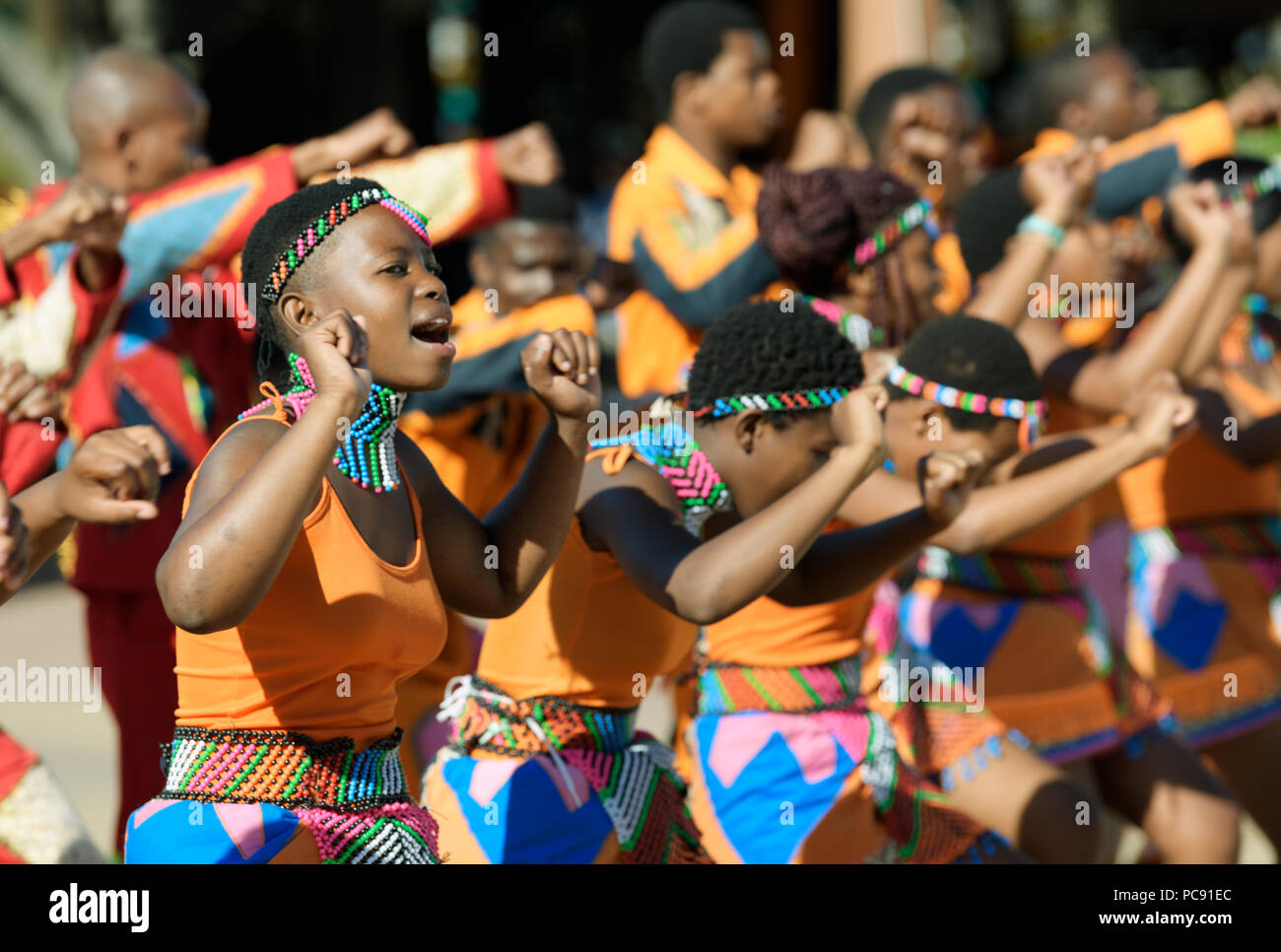 Durban, KwaZulu-Natal, Südafrika, junge Zulu Frauen in bunten Perlen Tracht Durchführen einer traditionellen Tanz, Straßenkünstlern Stockfoto