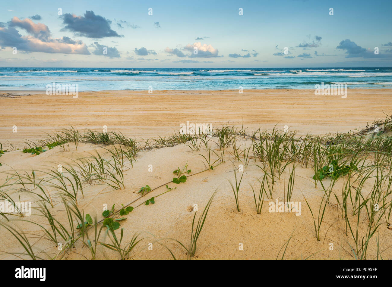 Berühmte 75 Mile Beach auf Fraser Island. Stockfoto