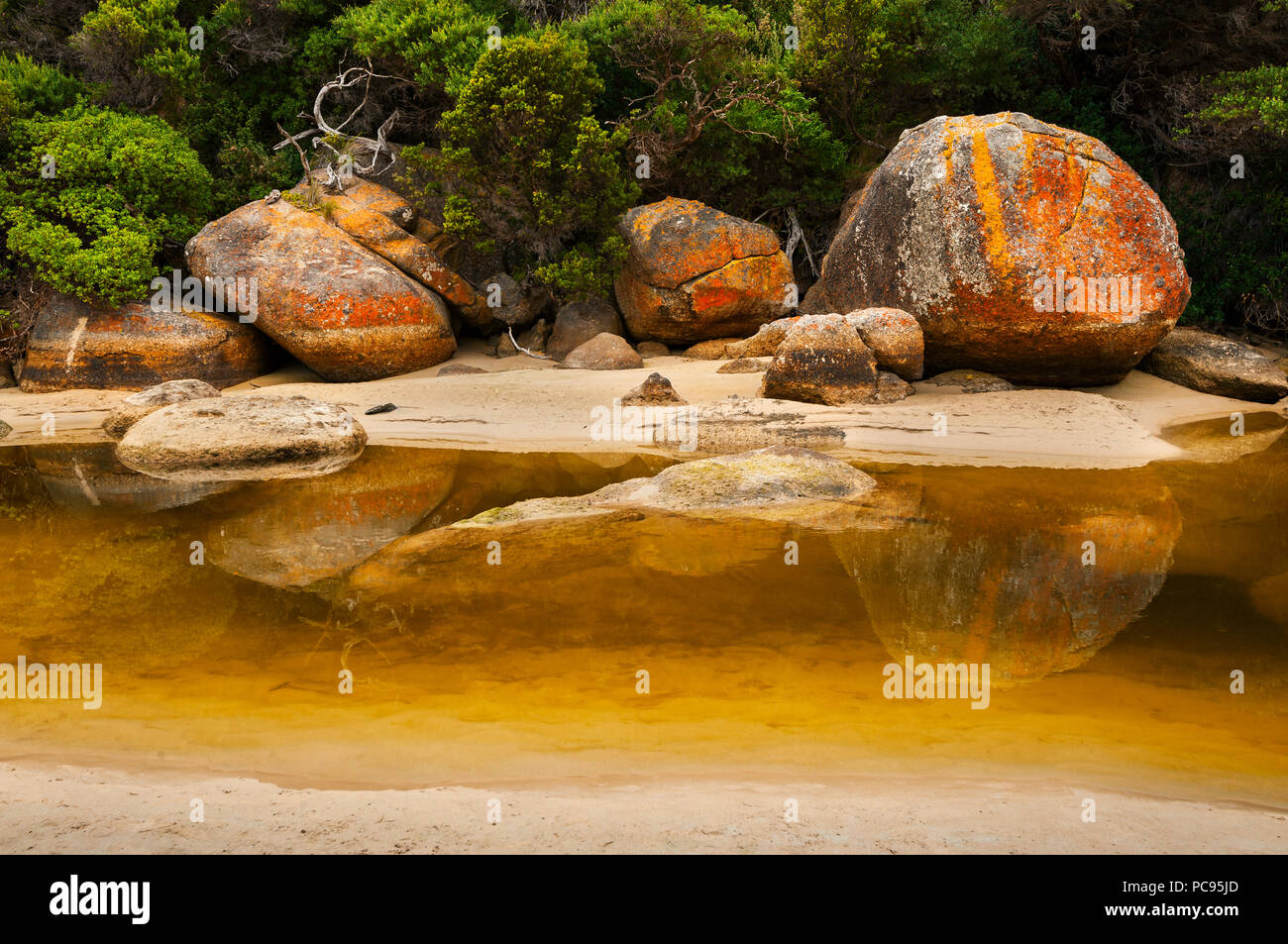 Bunte Flechten bewachsene Felsen am Tidal River in Wilsons Promontory National Park. Stockfoto