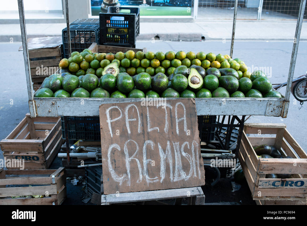 Marktstand verkaufen "cremig Avocado'. Salta, Argentinien, Südamerika. Mai 2018 Stockfoto