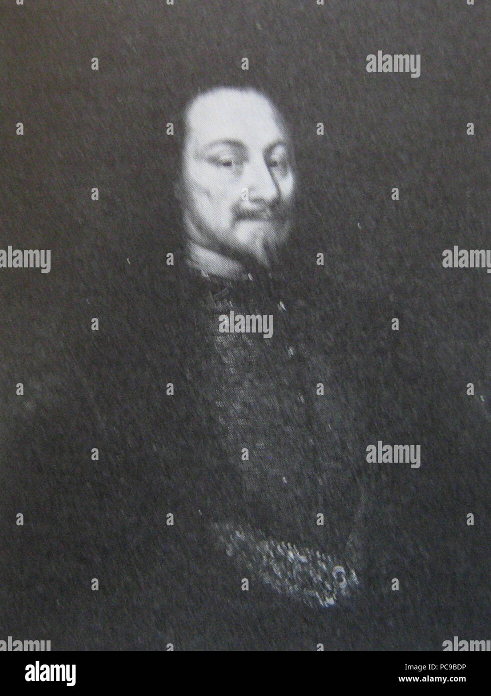 258 GustafTungel Stockfoto