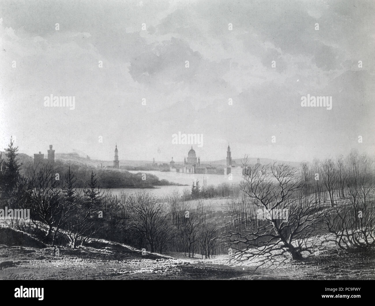 271 Hennicke Birk-Bank Stockfoto