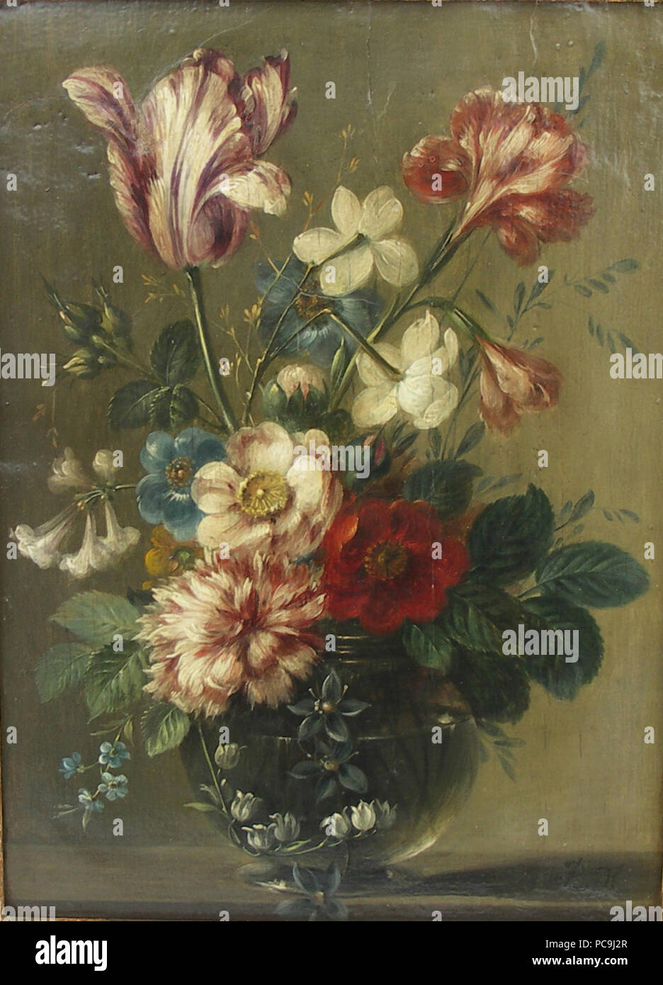 197 Etudes de Fleurs Stockfoto