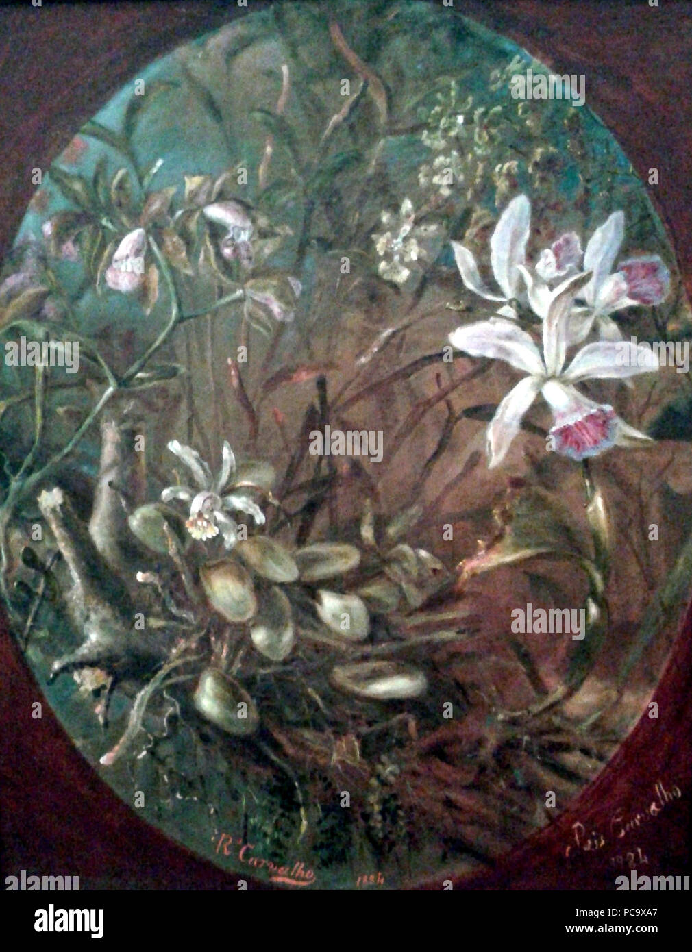 51 José dos Reis Carvalho - Parasitas Stockfoto