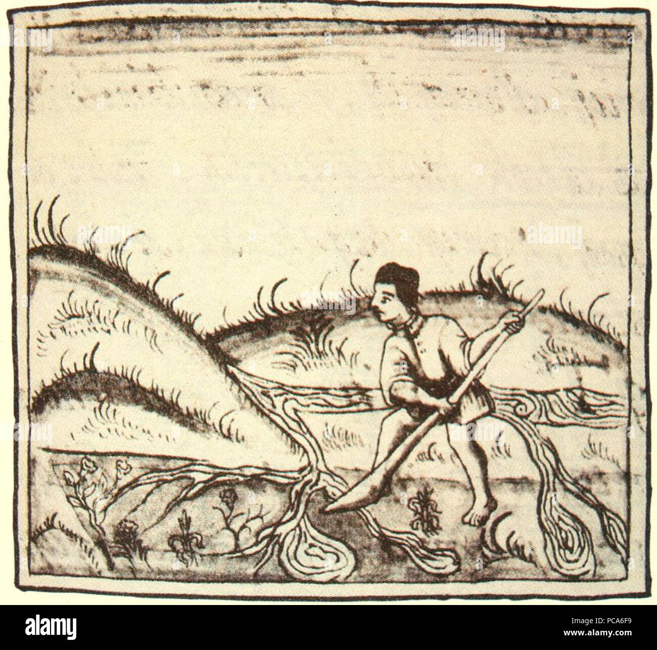 300 Irrigación con uictli Códice Florentino libro XI f. 228 Stockfoto