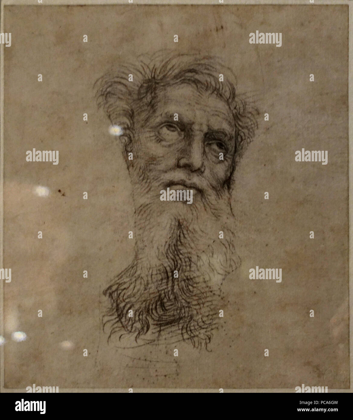 372 Lille PdBA Raphael apotre Stockfoto