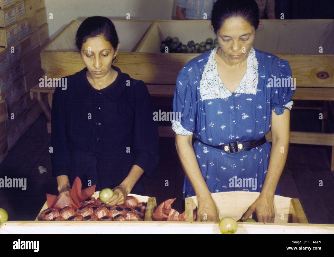 1940 s Puerto Rican Frau Kisten packen von Lebensmitteln Stockfoto