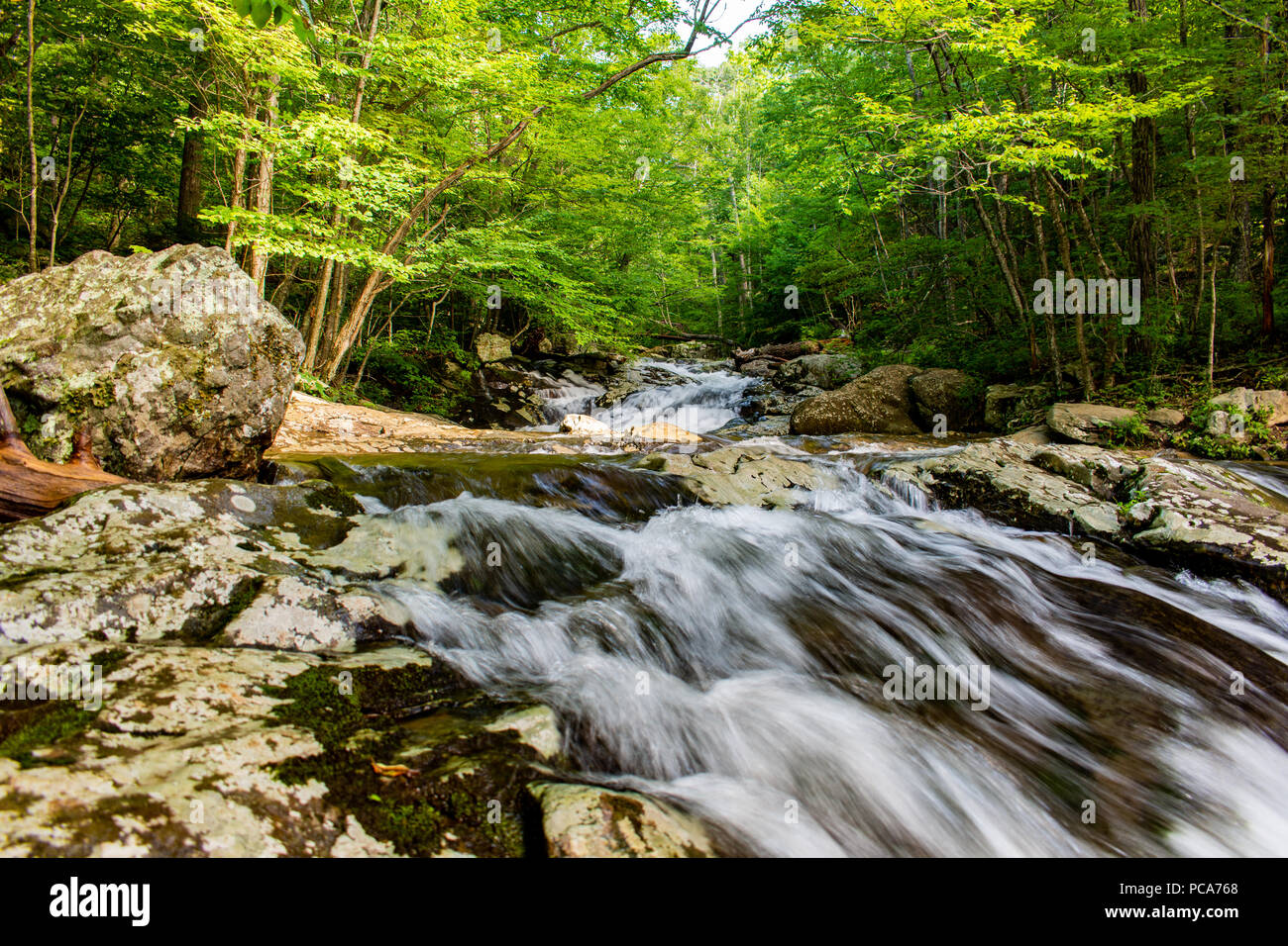 Friedliche Wasserfall in Shenandoah Nationalpark Stockfoto