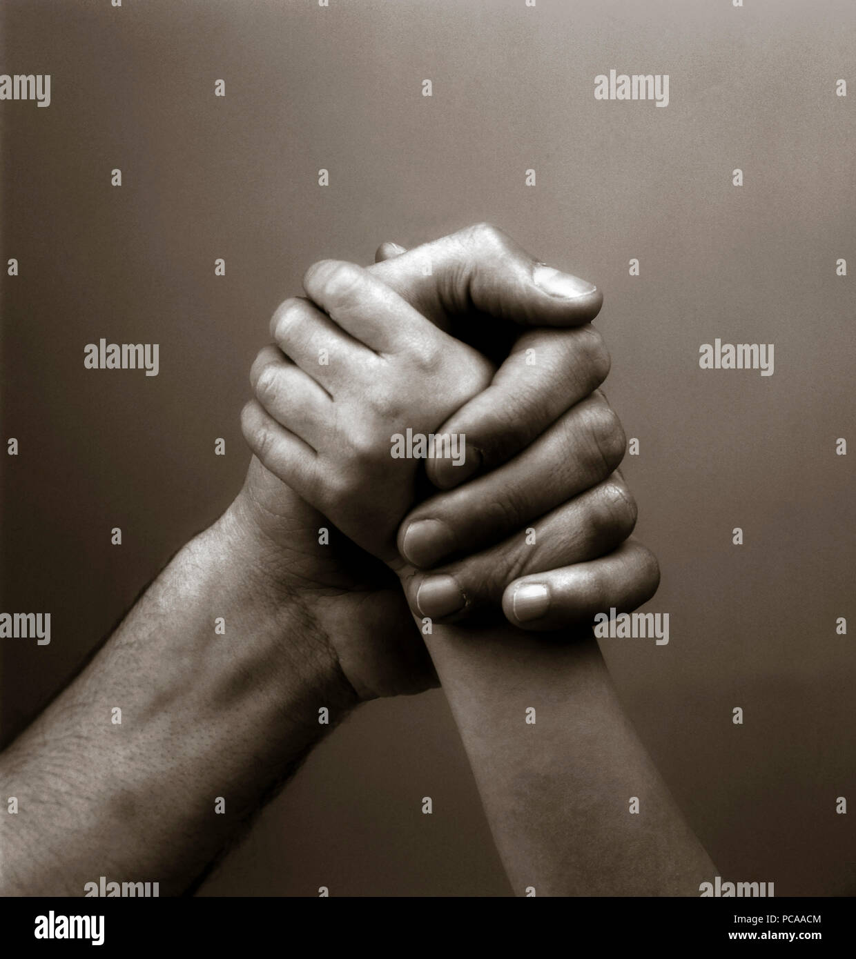 Kind und Eltern Hände halten einander, studio Shot, Symbol, Bild, Frankreich, Europa Stockfoto