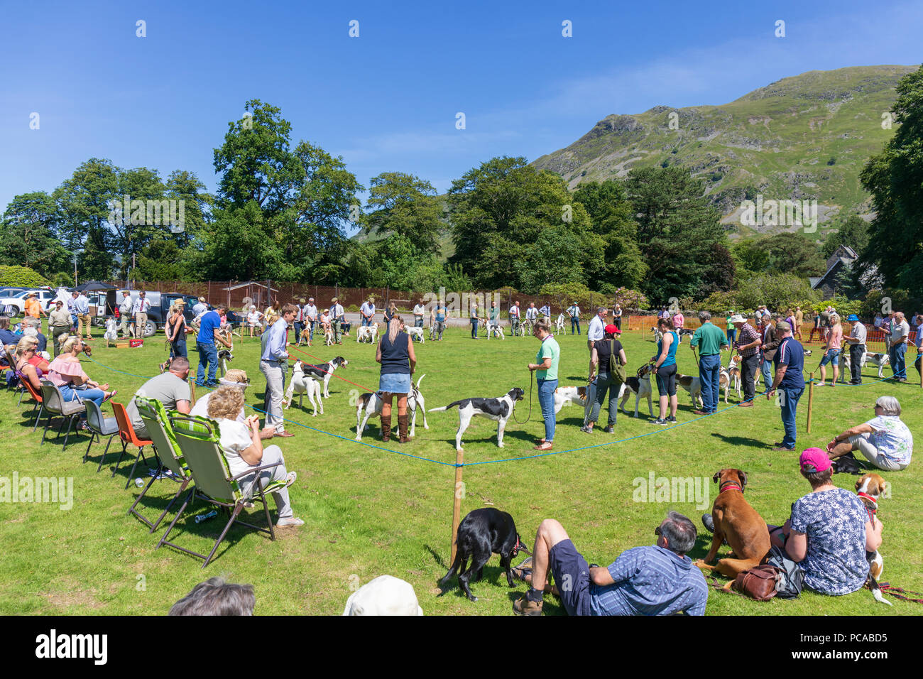 Patterday Country Festival & Hund zeigen. Dog Show und Wettbewerb Stockfoto