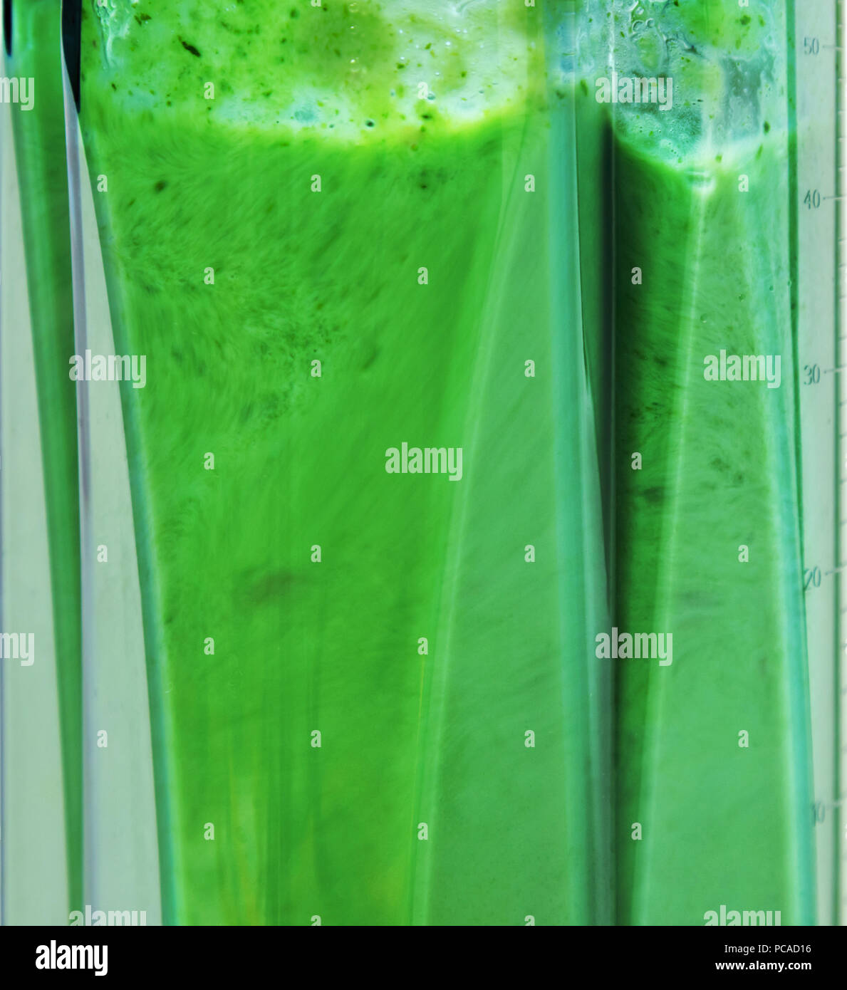 Grüne Smoothie. Blending Zutaten für Grüne smoothie Nahaufnahme. Stockfoto