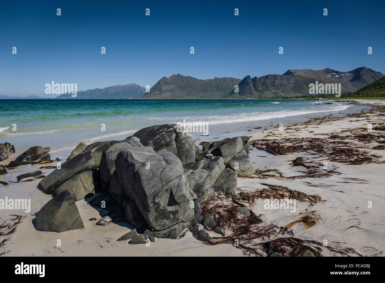 Strand bei Hov Hestegård, Gimsoy, Lofoten Inseln, Norwegen. Stockfoto