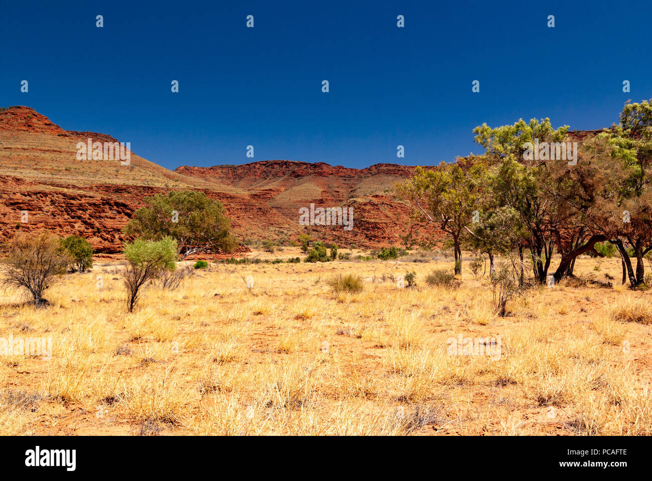 Finke Gorge National Park in der Nähe von hermannsburg in Northern Territiory Sab westlich von Alice Springs, Australien Stockfoto