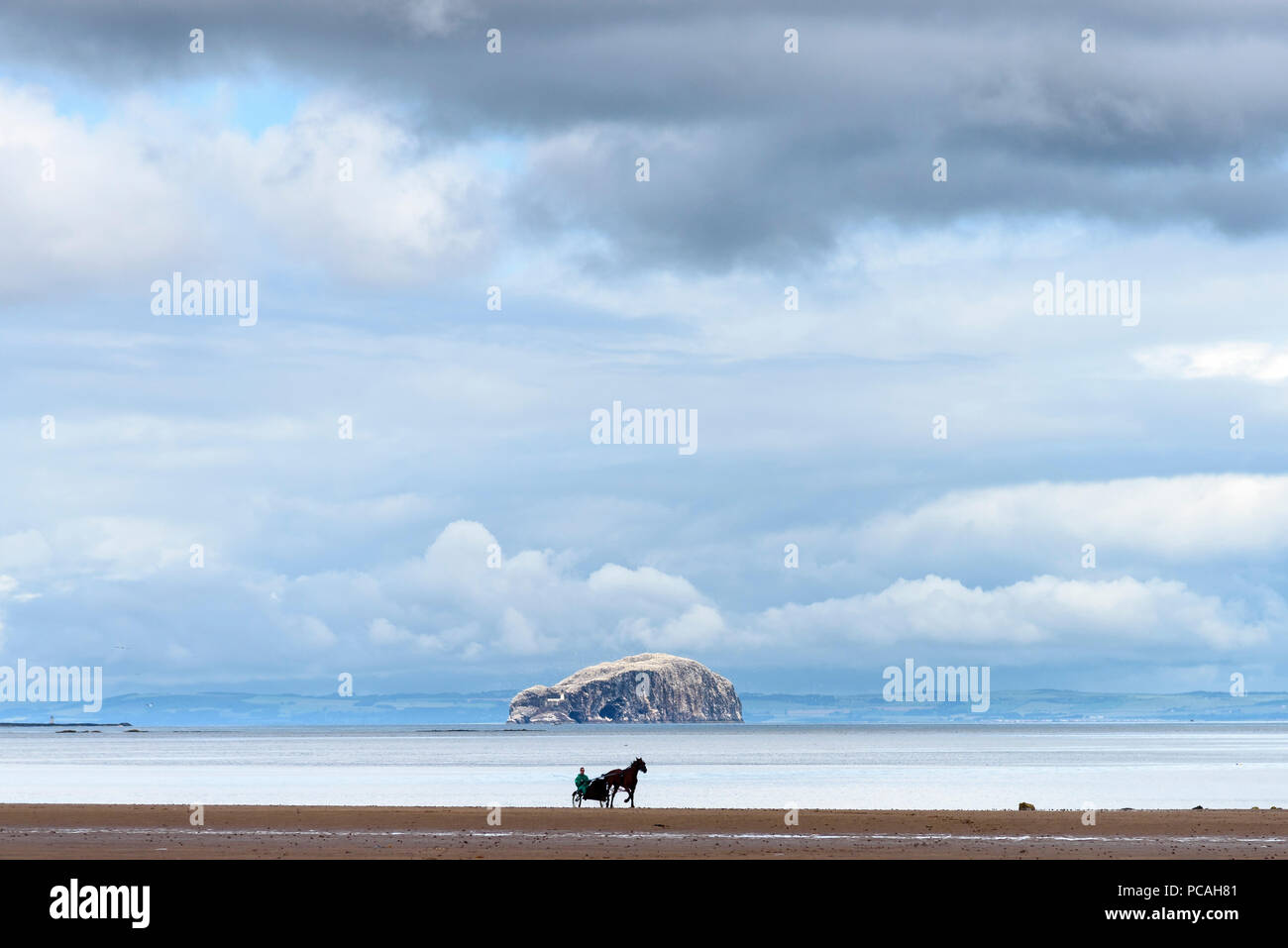 19-07-15 Belhaven Bay, Dunbar, East Lothian, Schottland, Großbritannien. Reiten und sulky Trab auf Belhaven Strand. Foto: © Simon Grosset Stockfoto