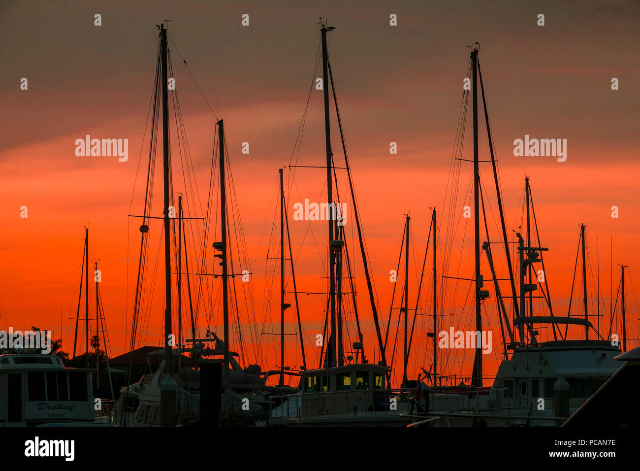 Silhouette von Segelboot Masten gegen die untergehende Sonne in Bradenton, Florida Stockfoto
