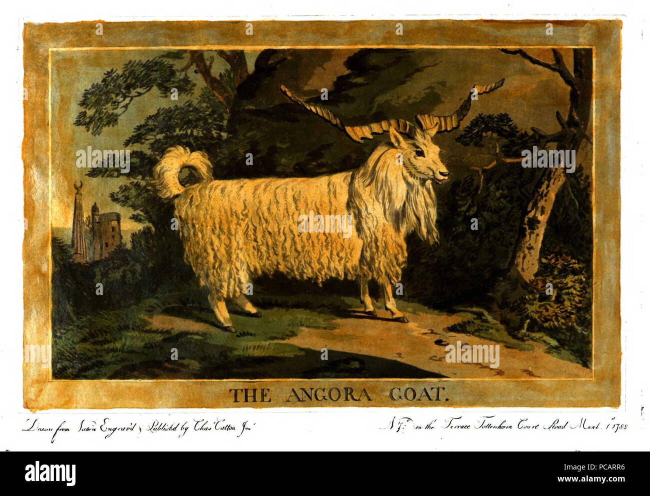 9 Charles Catton, Tiere (1788) Seite 34 Bild 1. Stockfoto
