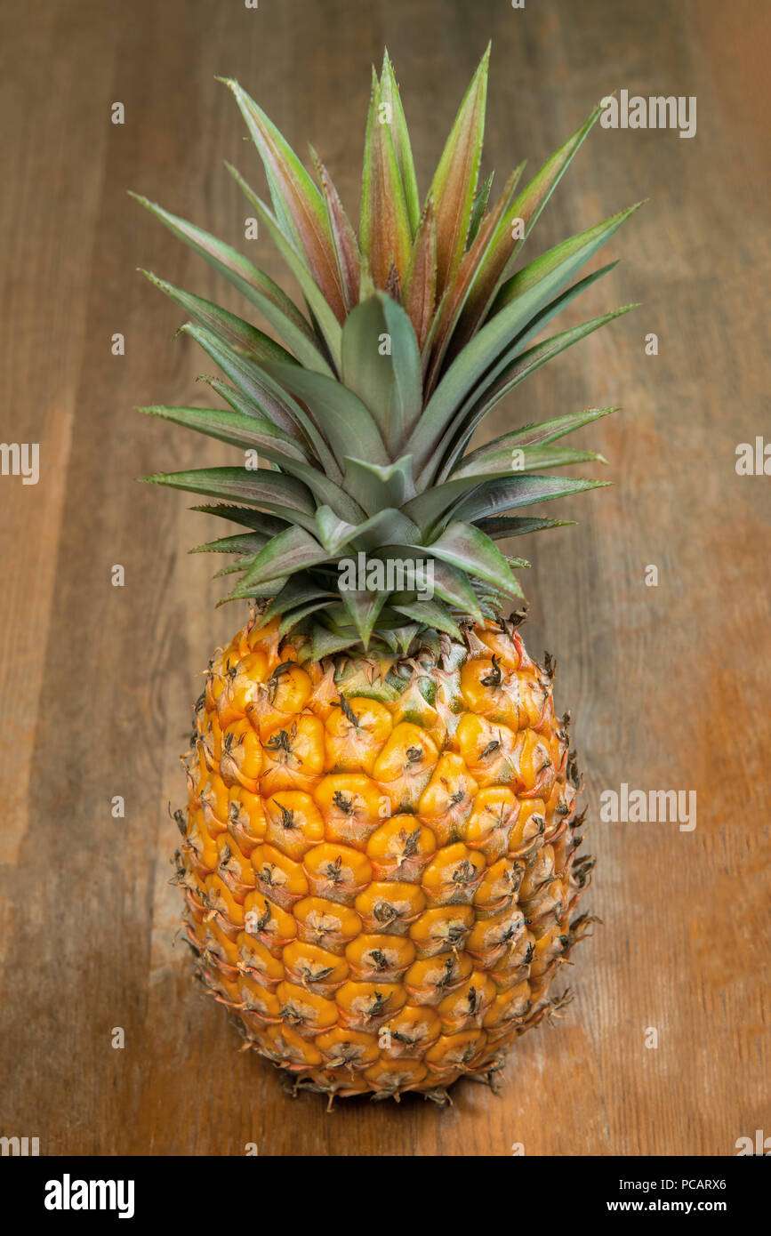 Single eine volle ganze Bio Ananas Obst auf hölzernen Hintergrund stehend Stockfoto