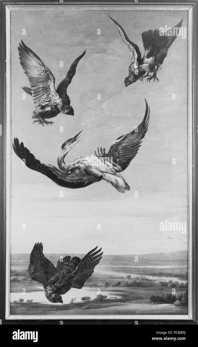 89 Zwei Falken und ein Habicht Angreifen ein Reiher - Nationalmuseum - 127330 Stockfoto