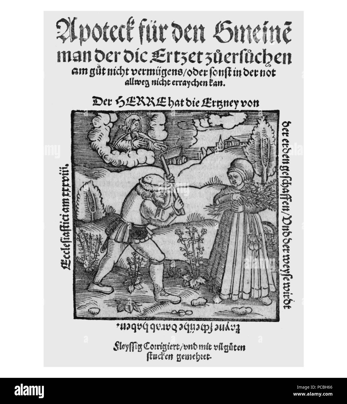 7 Brunschwig Puff 9288a Stockfoto