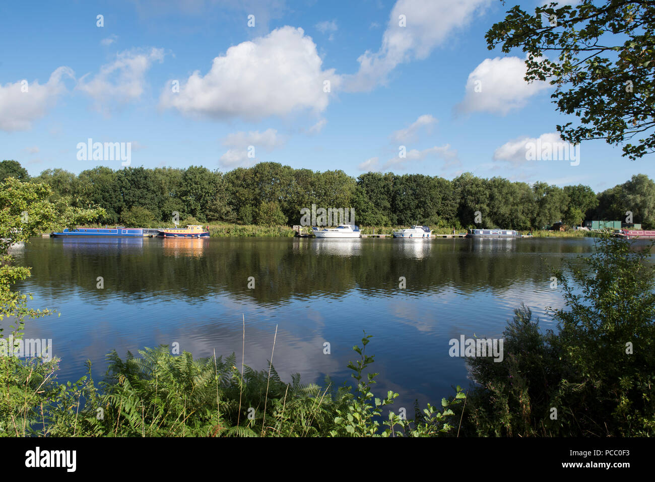 Ein Sommertag auf dem Fluss Trent von Holme Pierrepont Country Park, Nottingham, Nottinghamshire England Großbritannien Stockfoto