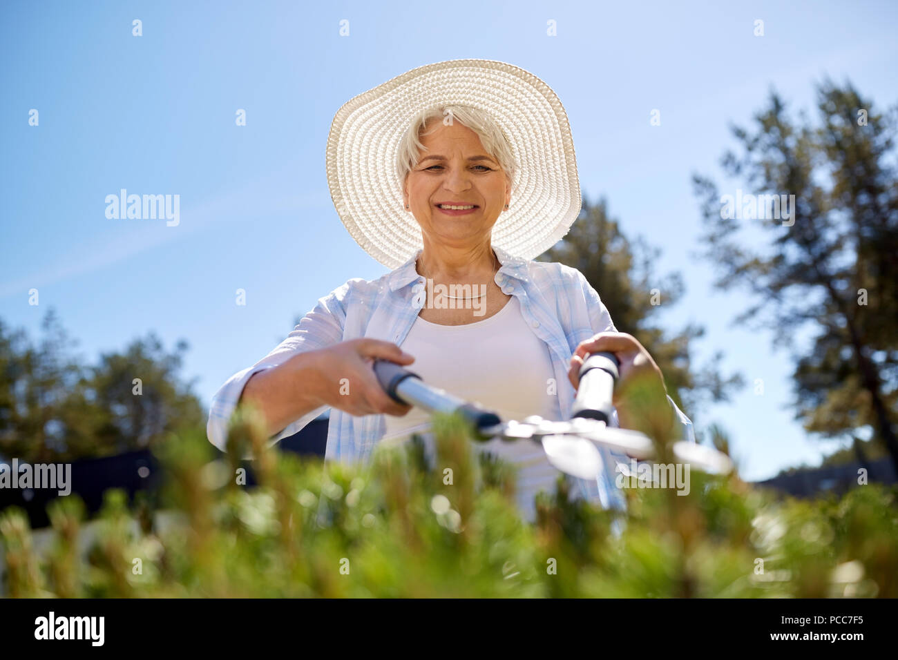 Senior Gärtner mit der Heckenschere garden Stockfoto