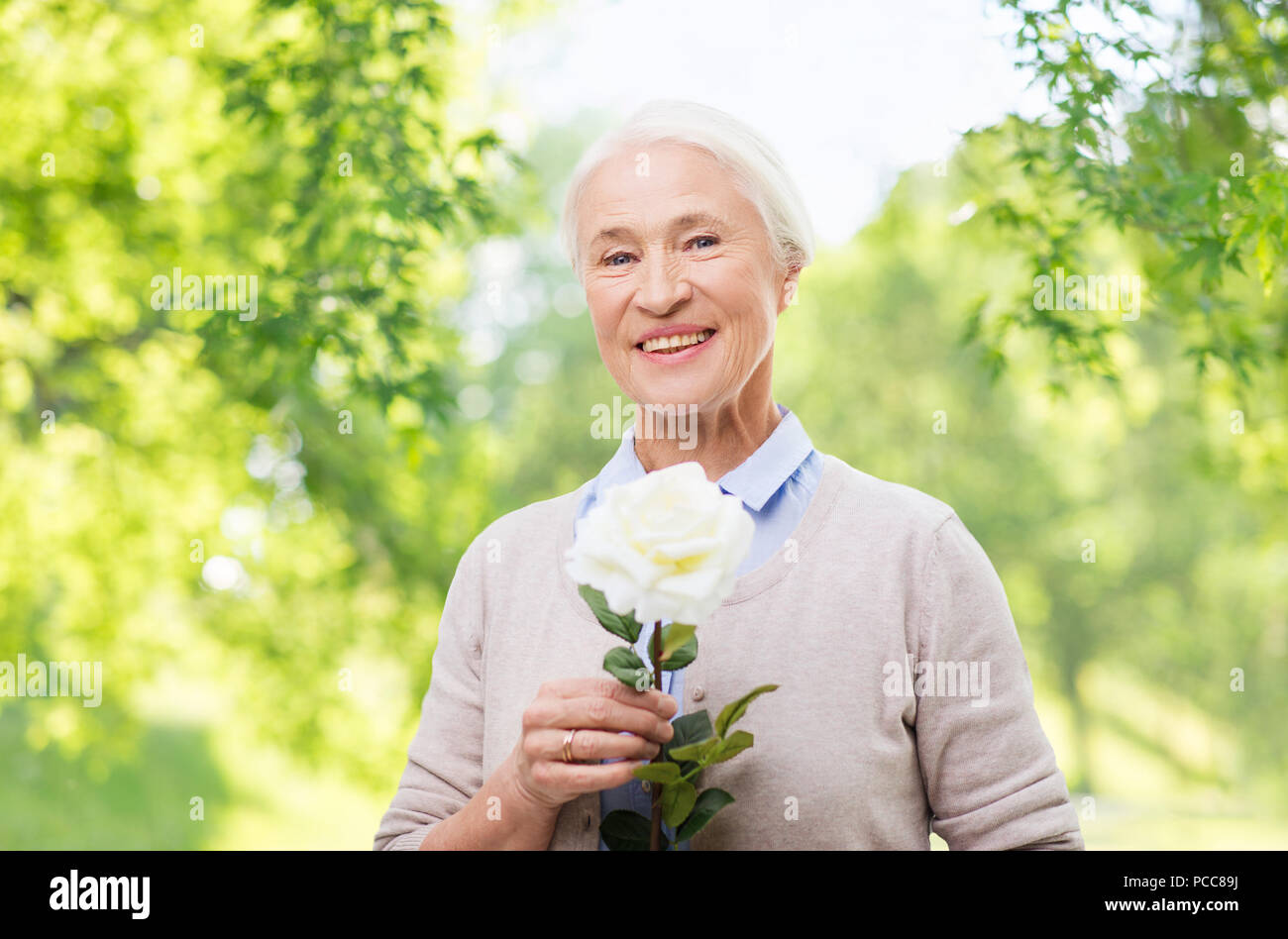 Gerne ältere Frau mit Rose Blume Stockfoto