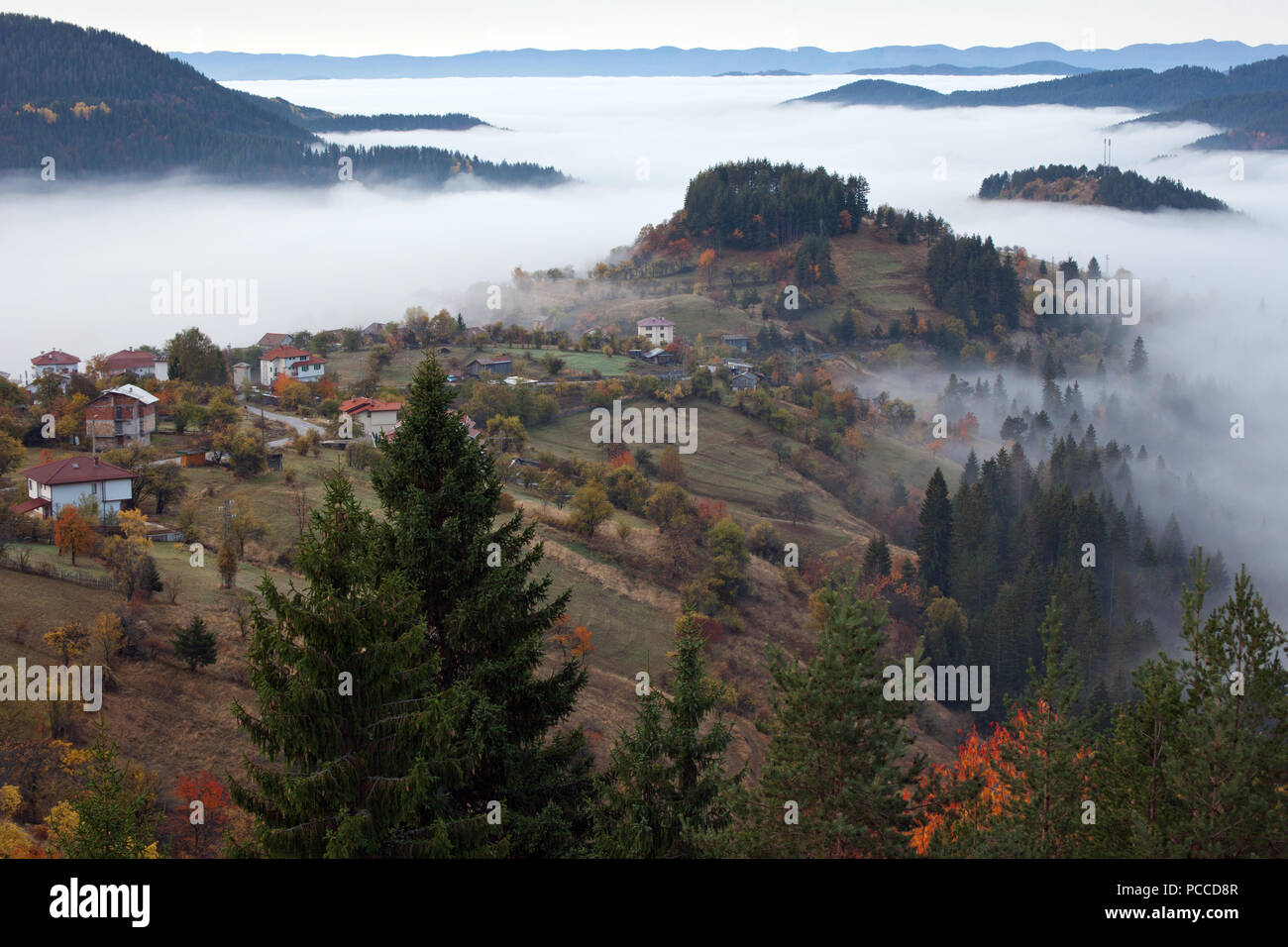 Herbst in den Rhodopen, Bulgarien. Am frühen Morgen. Der Berg ist mit Nebel bedeckt. Stockfoto