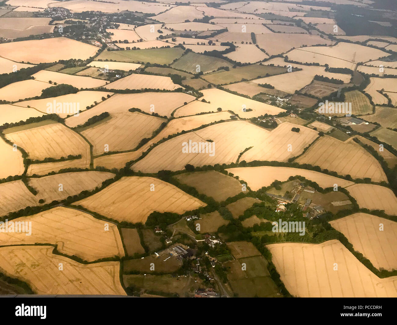 Die ausgetrockneten Felder in der Nähe von Stansted, Essex, am Mittwoch, den 1. August 2108 Nach der Hitzewelle in diesem Sommer. Heute sind die Landwirte, die eine Dürre Gipfel mit der Regierung. Die National Farmers' Union (NFU) werden Beamte in London treffen heute (Mi) zu diskutieren, "pulverfass"-Bedingungen, die Gras Wachstum verringert haben und abgereichertem" einige Erträge. NFU Präsident Minette zerschlägt sagte, sie wird versuchen, auf Umwelt Sekretär Michael Gove, an der "äußerst wichtig" spricht die Herausforderungen Landwirte konfrontiert sind nach dem schweren Mangel an Regen zu beeindrucken. Stockfoto