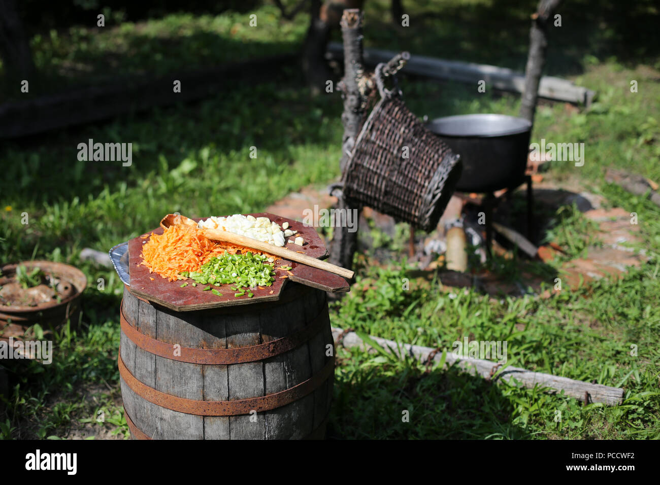 Einige der Zutaten für gulasch Eintopf: Karotten, Zwiebeln, Paprika und Knoblauch Stockfoto