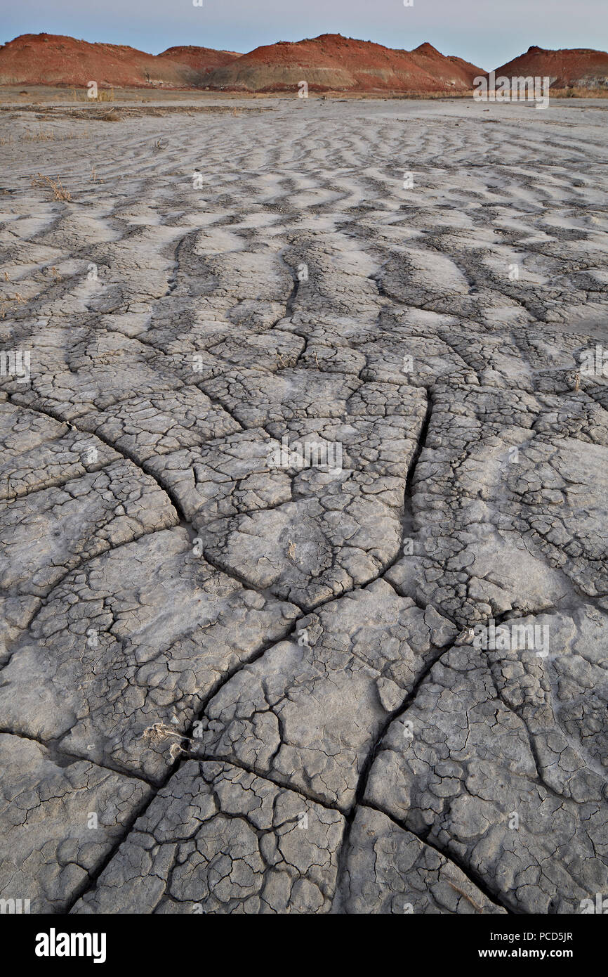 Risse im Boden in einem trocken waschen, Bisti Wilderness, New Mexico, Vereinigte Staaten von Amerika, Nordamerika Stockfoto