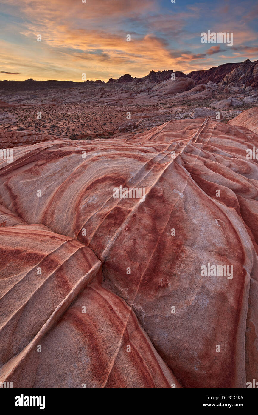 Sandstein-Formen im Morgengrauen, Valley of Fire State Park, Nevada, Vereinigte Staaten, Nordamerika Stockfoto