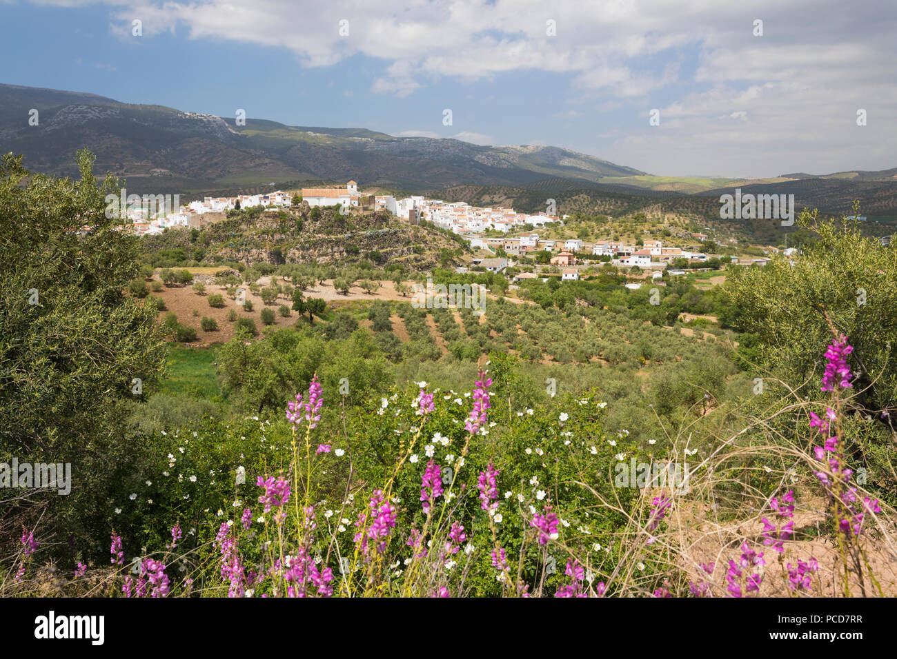 Ansicht im Frühjahr über den weißen andalusischen Dorf El Burgo, Provinz Malaga, Andalusien, Spanien, Europa Stockfoto