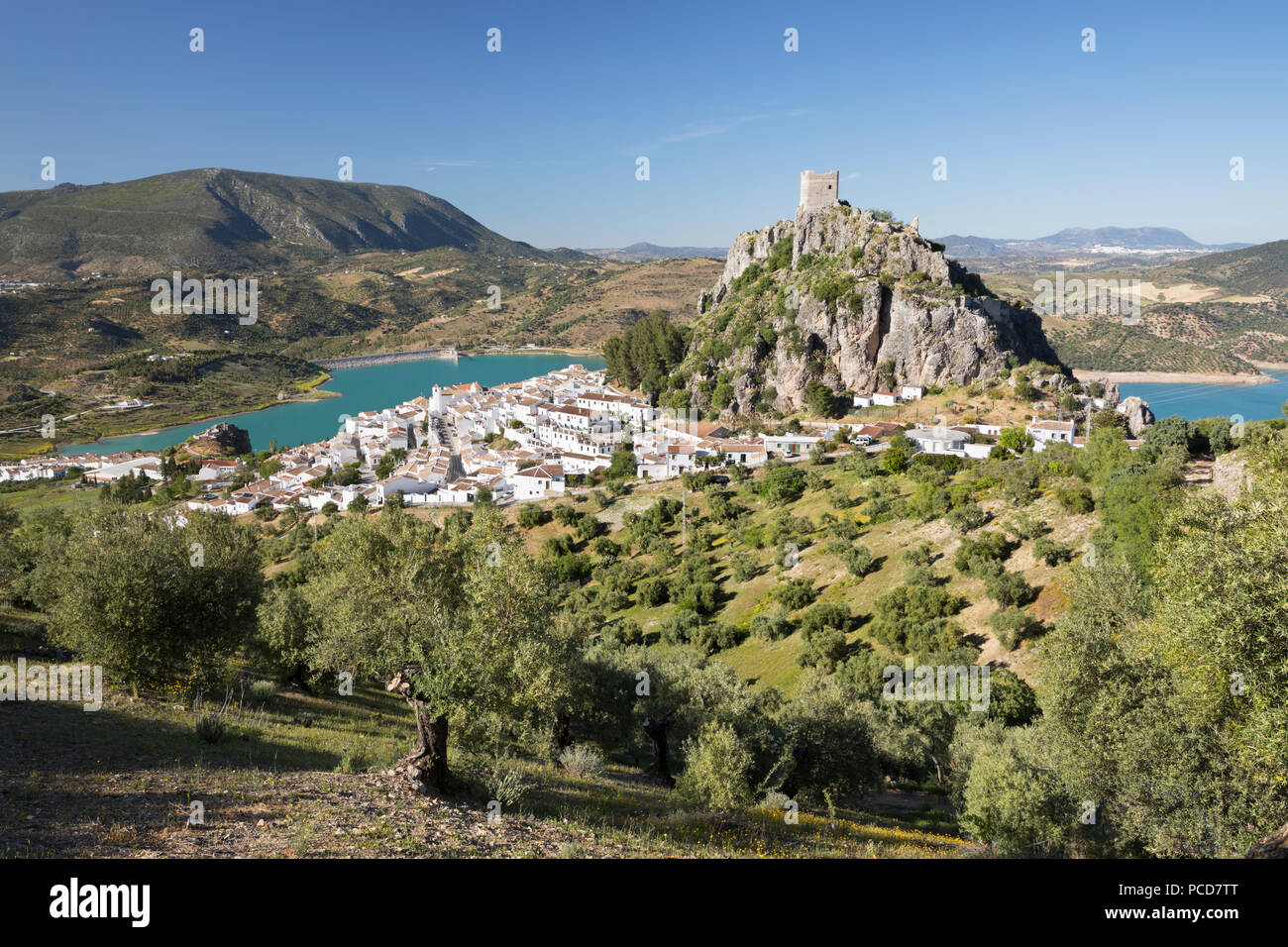 Die maurische Burg vor weißen Dorf mit Olivenhainen, Zahara de la Sierra, Sierra de Grazalema, Andalusien, Spanien, Europa Stockfoto