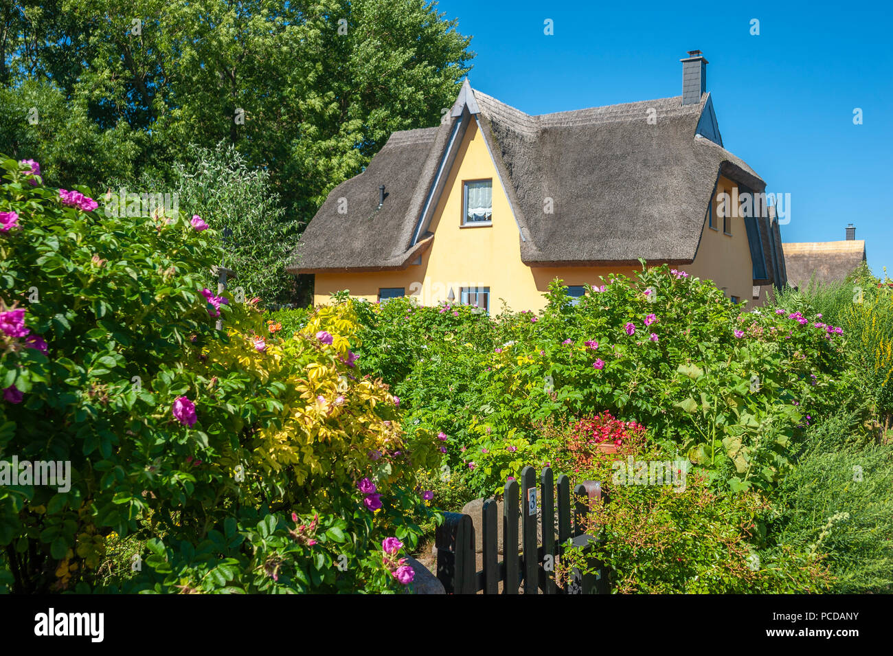 Freistehendes Haus Mit Strohdach Am Kap Arkona Putgarten Rugen