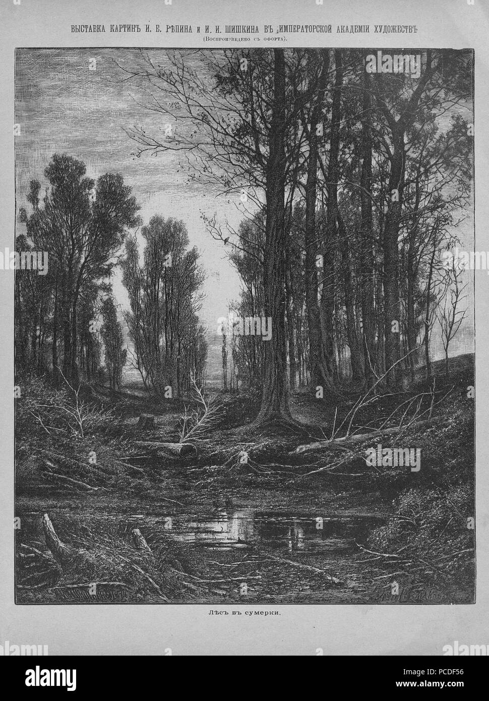 31 Живописное обозрение 1891, № 01-26 (6 янв. - 30 июня); № 27-52 (7 Июля - 29 дек.) Seite 1172 Stockfoto